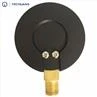 Capsule Type Pressure Gauge